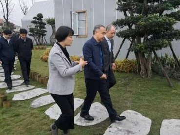 唐华建5米挑战失败，背后真相令人震惊