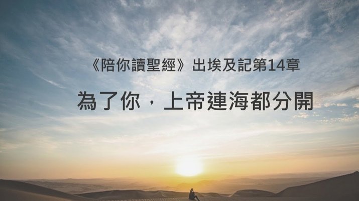 盖伊重伤倒逼申花夏窗召回阿苏埃