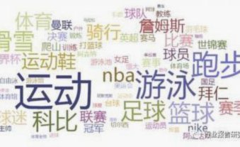 小世界杯决赛为什么有女球员?