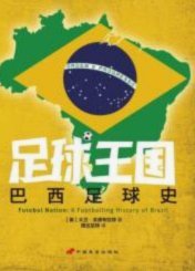 巴西新政：青训变革的挑战