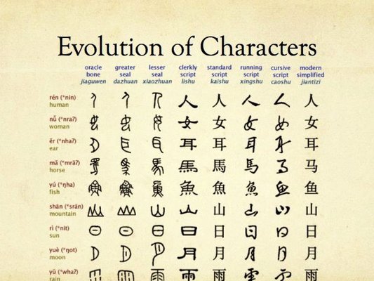每体：中锋不确定让马竞焦虑，想从里尔挖帕尔多但并不容易32