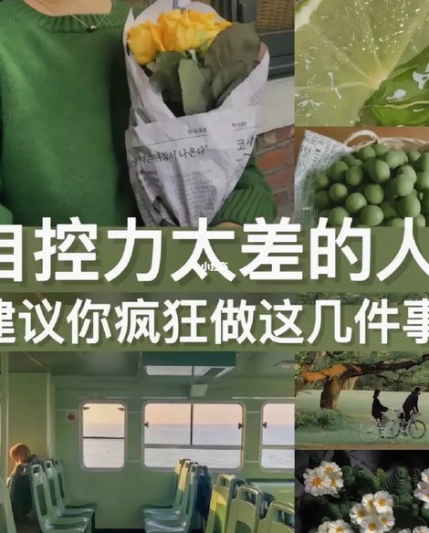 不要问为什么不带干儿子小毛