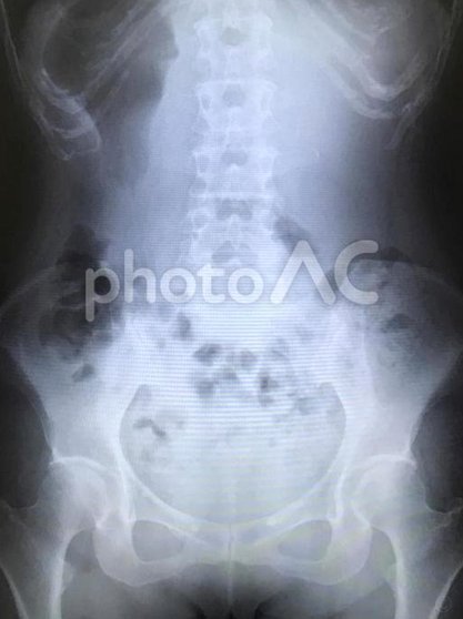 国安主帅：对申花了解充分 强调条件一致踢好下一场